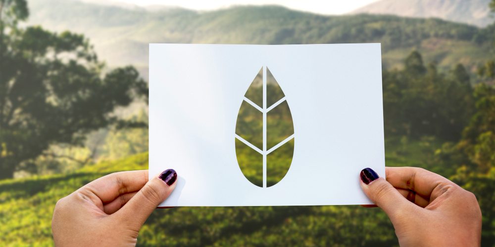 Unlock firma parceria com Carbon Free Brasil para neutralizar impacto ambiental de suas operações