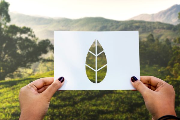 Unlock firma parceria com Carbon Free Brasil para neutralizar impacto ambiental de suas operações