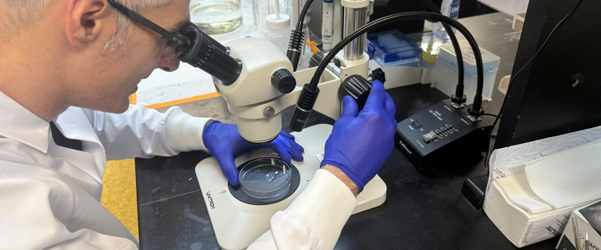 Da agricultura aos medicamentos: estudos em biotecnologia apontam para uma nova geração de soluções