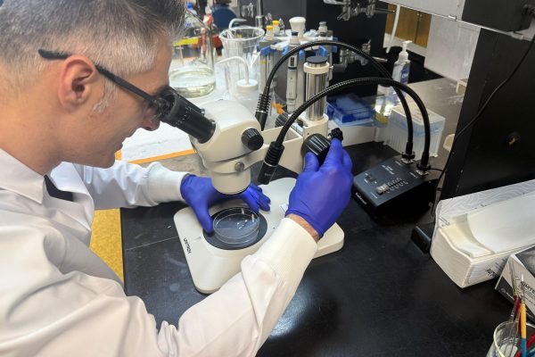 Da agricultura aos medicamentos: estudos em biotecnologia apontam para uma nova geração de soluções