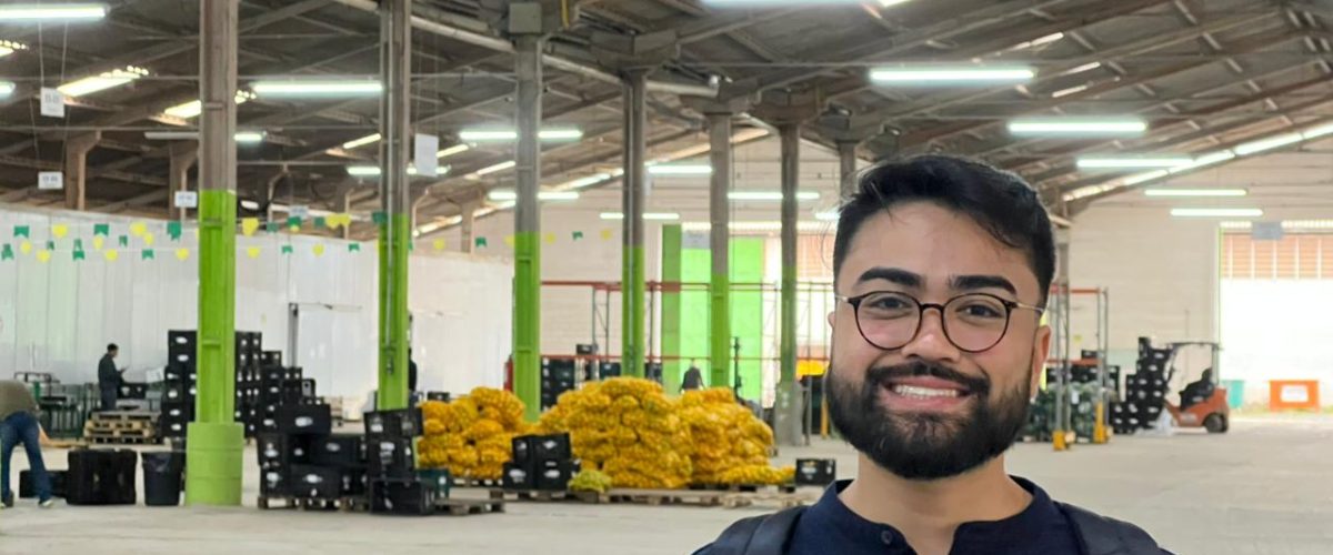Galpões inteligentes elevam produtividade e garantem maior controle operacional