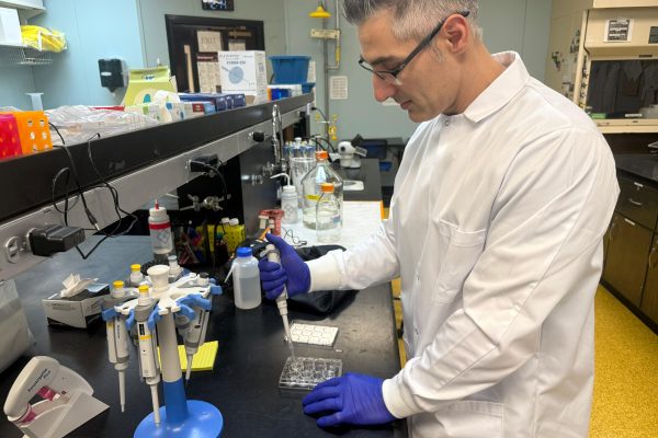 Pesquisador explora potencial dos microrganismos para desenvolver produtos do futuro
