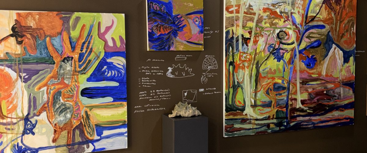 ShoppingSantaÚrsula recebe exposição que transforma a natureza em expressão artística