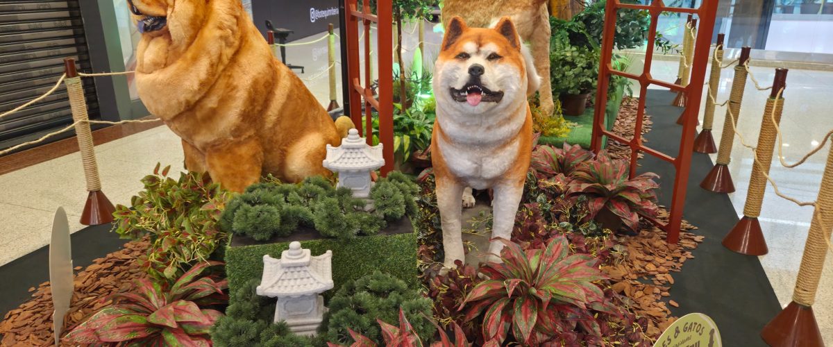 ShoppingSantaÚrsula reúne atração inspirada no universo dos pets durante as férias