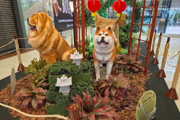 ShoppingSantaÚrsula reúne atração inspirada no universo dos pets durante as férias