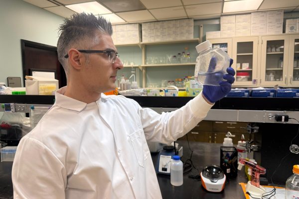 Estudos apontam microrganismos como aliados estratégicos na proteção da natureza