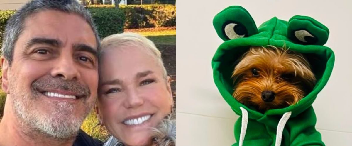 Junno Andrade se emociona ao se despedir de cachorro que fazia parte da família com Xuxa