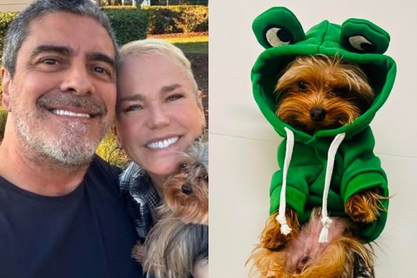 Junno Andrade se emociona ao se despedir de cachorro que fazia parte da família com Xuxa
