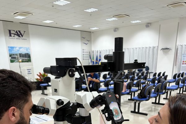 Tecnologia desenvolvida no Brasil enfrenta desafios da formação cirúrgica global